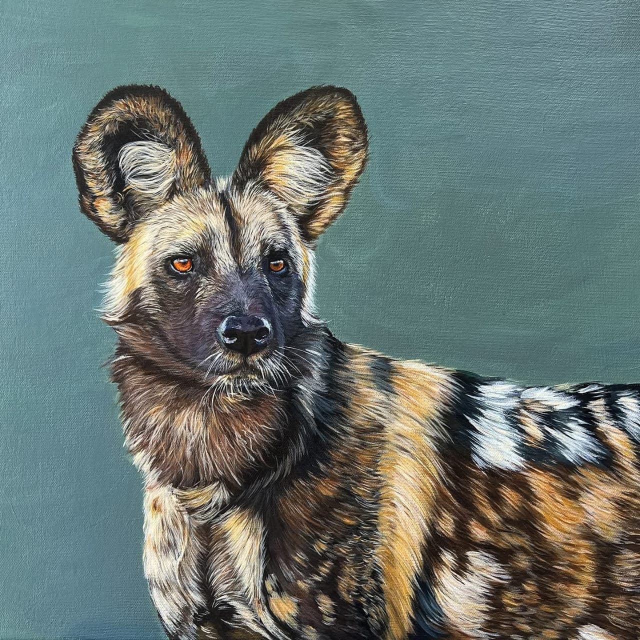 African Wild Painted Dog