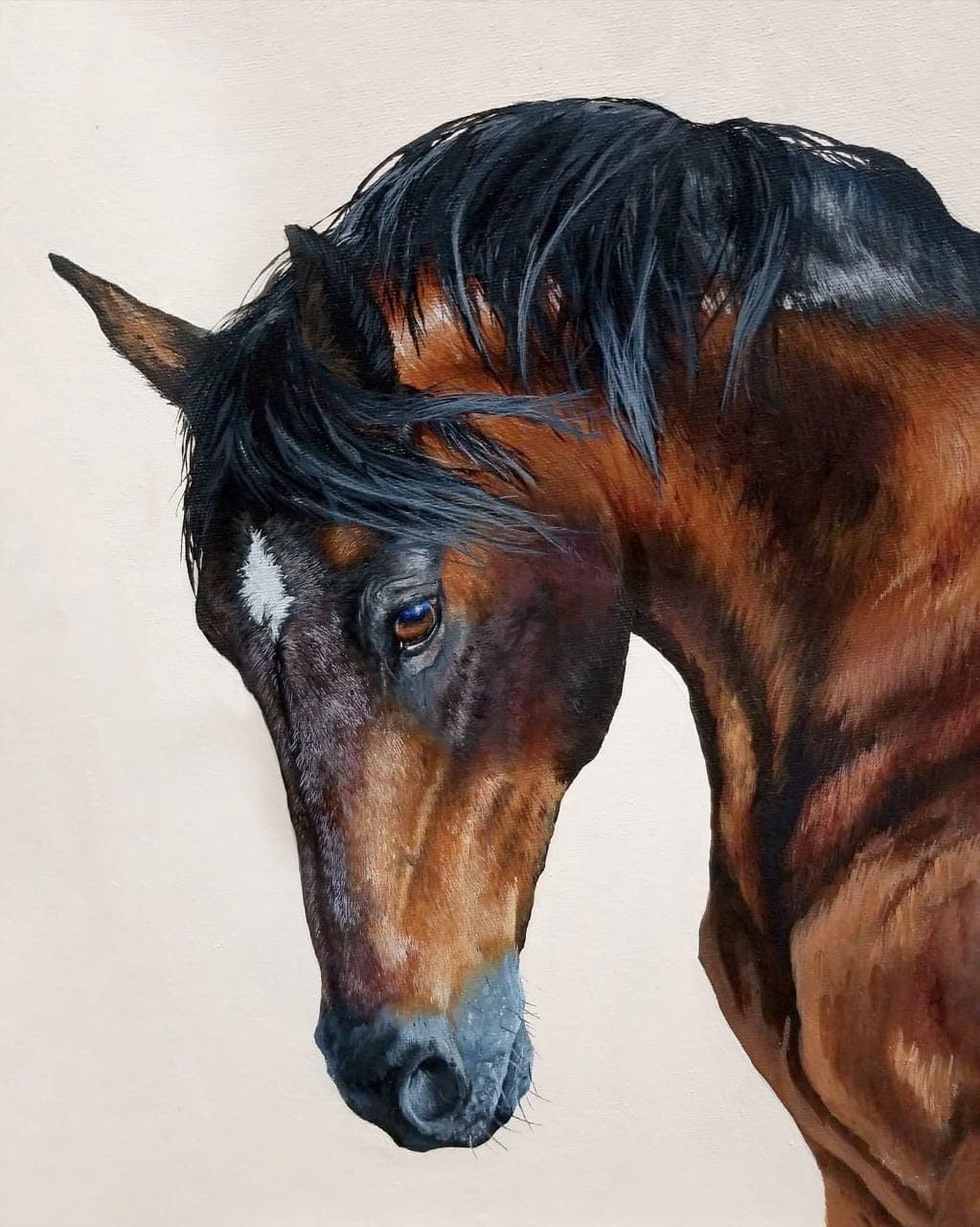 Bay Horse Head Study