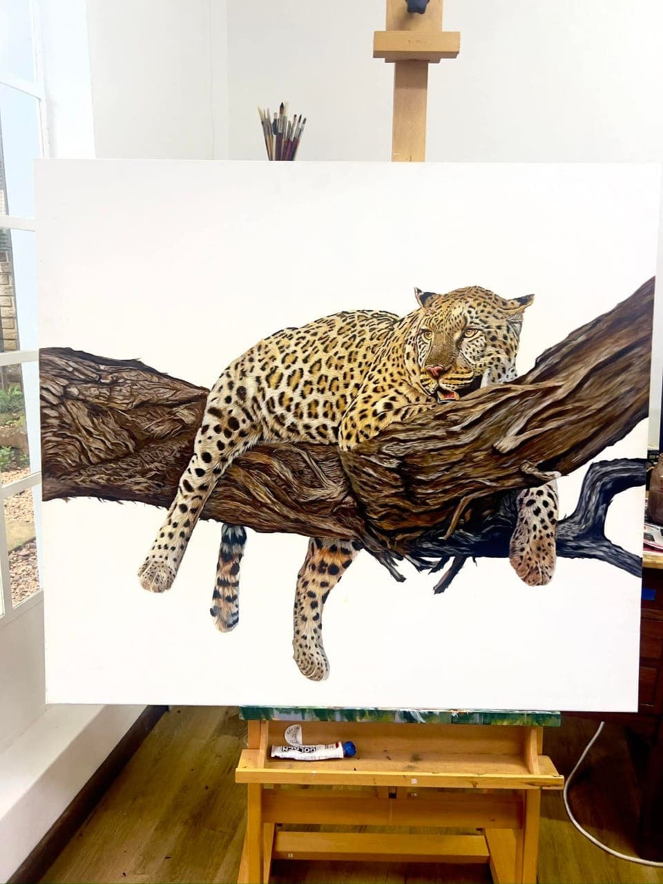 Leopard Resting on Tree Branch