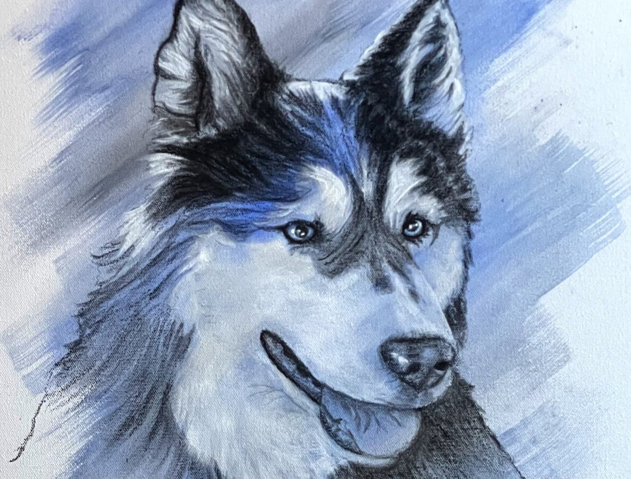 Siberian Husky Blue Eyes Study