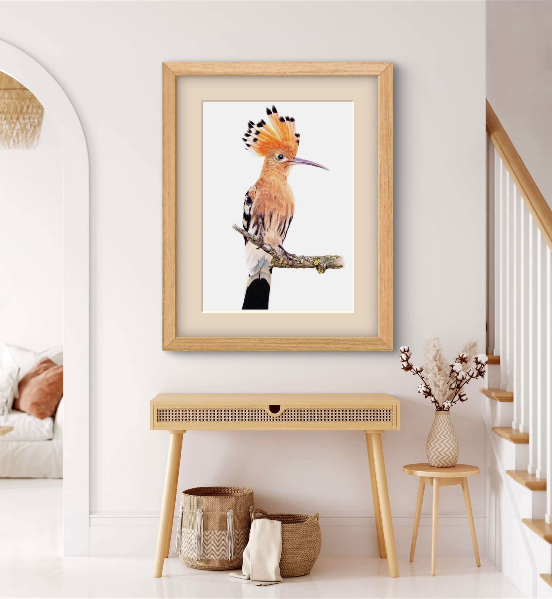 Hoopoe Bird on Branch Study