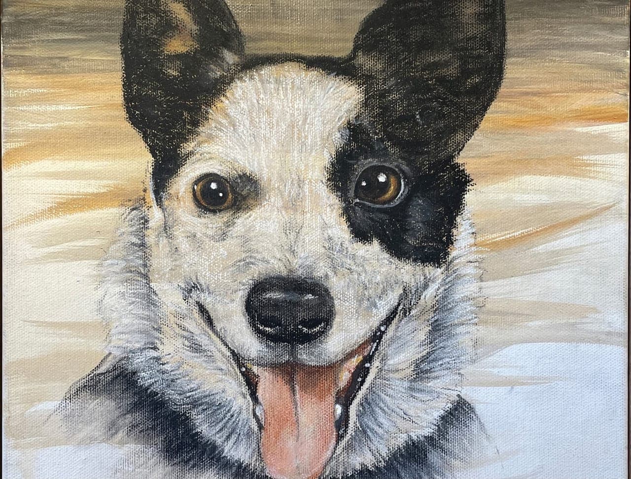Australian Cattle Dog Study