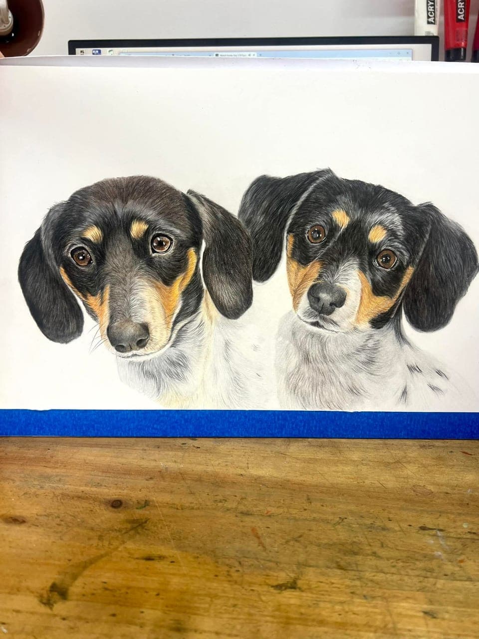 Dachshund & Spaniel Puppies